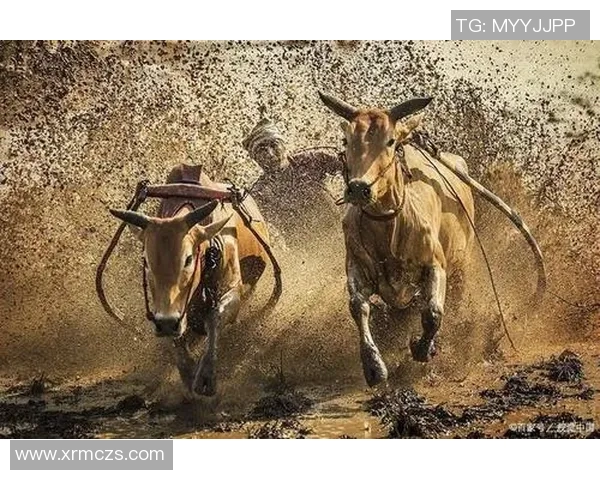 黑人励志足球明星的奋斗故事与成功之路揭秘